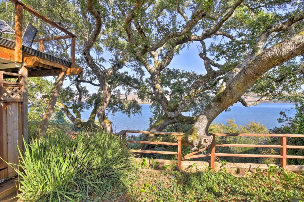 Hillside Home With Deck And Views Of Tomales Bay! Inverness Kültér fotó